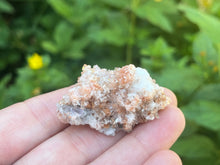 Load image into Gallery viewer, Creedite