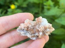 Load image into Gallery viewer, Creedite