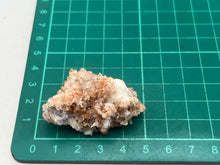 Load image into Gallery viewer, Creedite