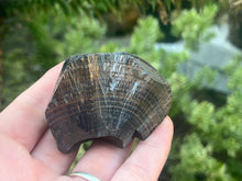Load image into Gallery viewer, Hematite