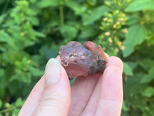 Load image into Gallery viewer, Carnelian