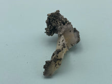 Load image into Gallery viewer, Pyrite,Marcasite and Quartz
