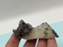 Load image into Gallery viewer, Pyrite,Marcasite and Quartz