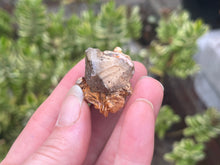 Load image into Gallery viewer, Cerussite,Baryte and galena