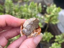 Load image into Gallery viewer, Cerussite,Baryte and galena