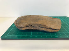 Load image into Gallery viewer, Mason Creek Fern Nodules