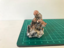 Load image into Gallery viewer, Creedite