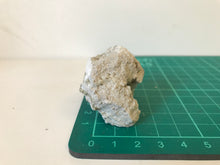 Load image into Gallery viewer, Tunellite