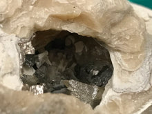 Load image into Gallery viewer, Crystallised bivalve ammonite