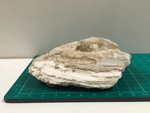 Load image into Gallery viewer, Crystallised bivalve ammonite