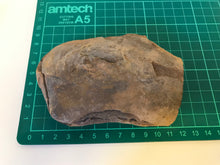 Load image into Gallery viewer, Mason Creek Fern Nodules