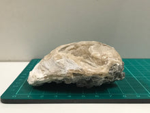 Load image into Gallery viewer, Crystallised bivalve ammonite