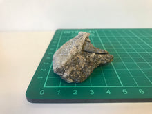 Load image into Gallery viewer, brewsterite