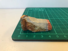 Load image into Gallery viewer, Barytocelestine