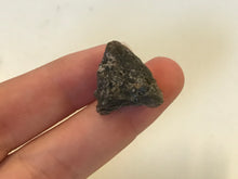 Load image into Gallery viewer, Impactite darwin glass