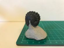 Load image into Gallery viewer, Phacops Trilobite
