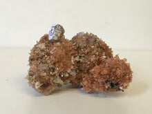 Load image into Gallery viewer, Creedite