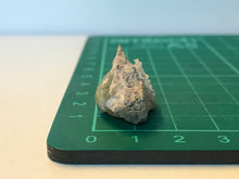 Load image into Gallery viewer, Grossular