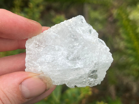 Pollucite