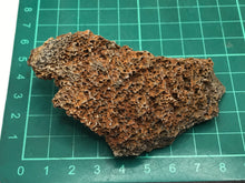 Load image into Gallery viewer, Mammoth bone
