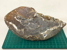 Load image into Gallery viewer, Carnelian geode
