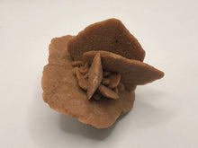 Load image into Gallery viewer, Baryte desert Rose
