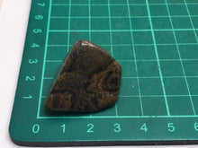 Load image into Gallery viewer, Stromatolite pebble
