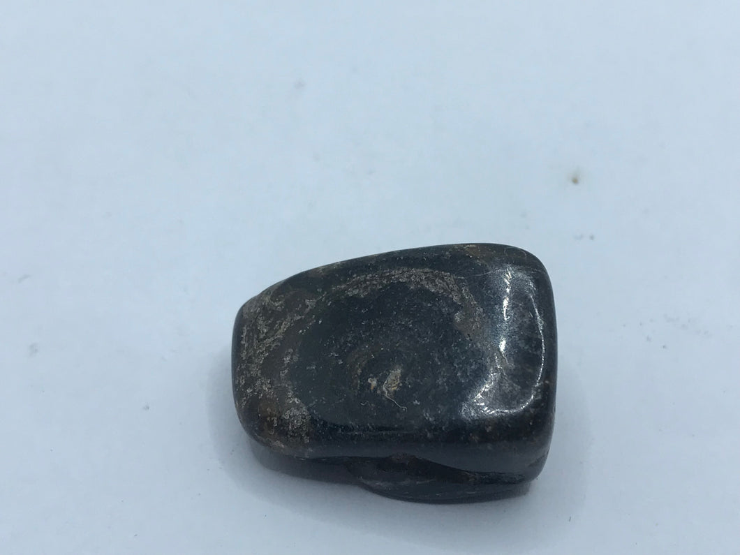 Stromatolite pebble