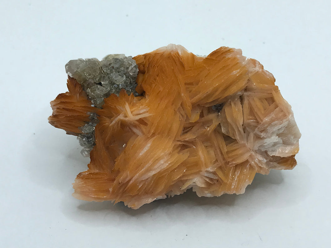 Cerussite And Baryte