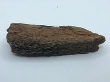 Load image into Gallery viewer, Mammoth bone

