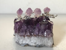 Load image into Gallery viewer, Amethyst Cluster With Branch
