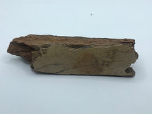 Load image into Gallery viewer, Mammoth bone
