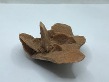 Load image into Gallery viewer, Baryte desert rose
