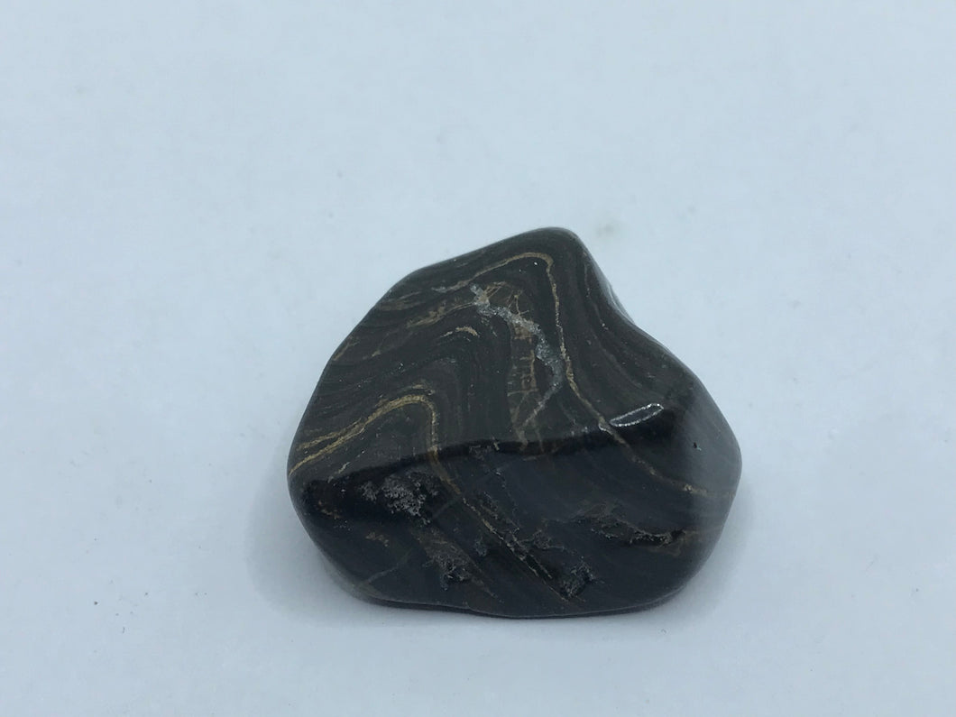 Stromatolite pebble
