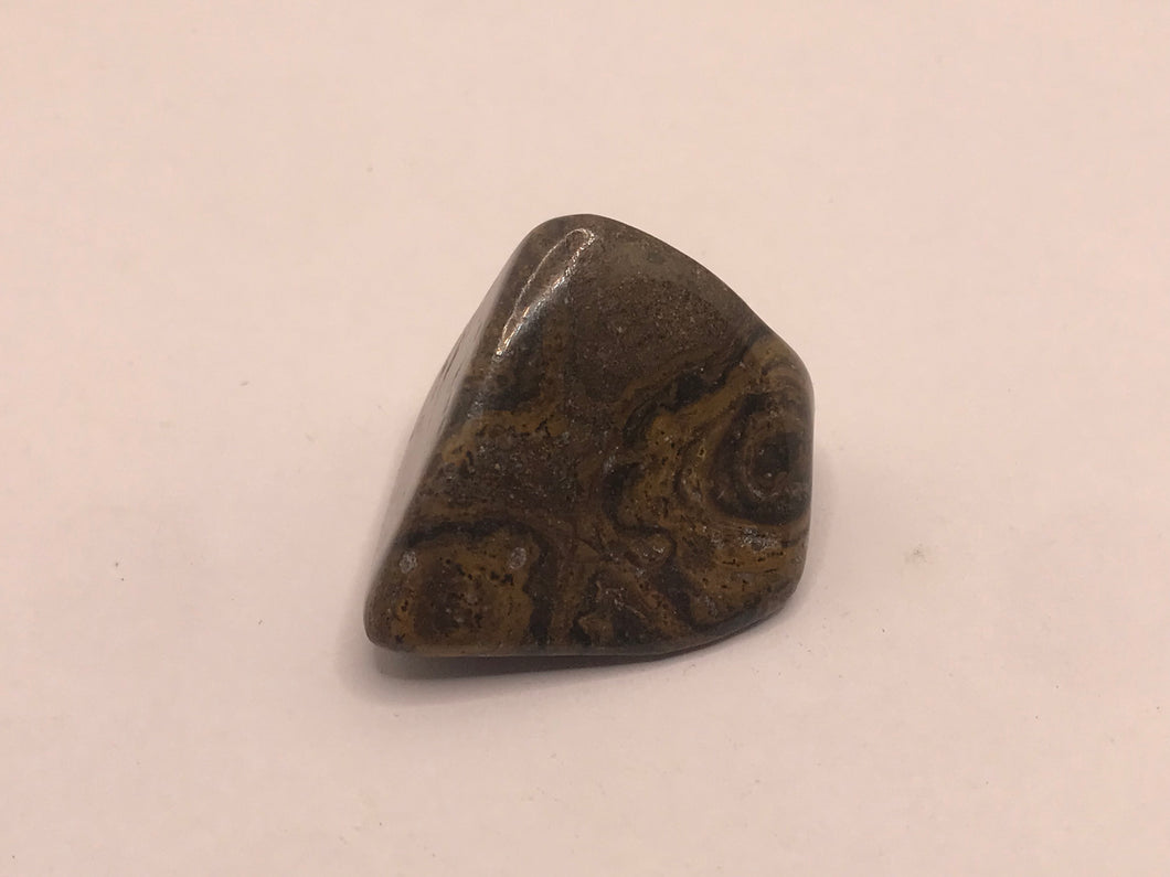 Stromatolite pebble