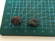 Load image into Gallery viewer, Hematite goniotite
