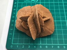 Load image into Gallery viewer, Baryte desert Rose
