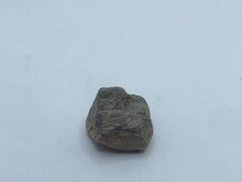Load image into Gallery viewer, Dinosaur bone chunk
