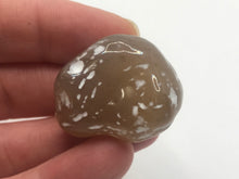 Load image into Gallery viewer, Snakeskin agate
