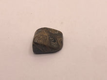 Load image into Gallery viewer, Stromatolite pebble
