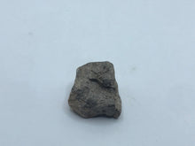 Load image into Gallery viewer, Dinosaur bone chunk
