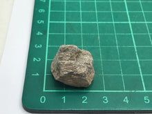 Load image into Gallery viewer, Dinosaur bone chunk
