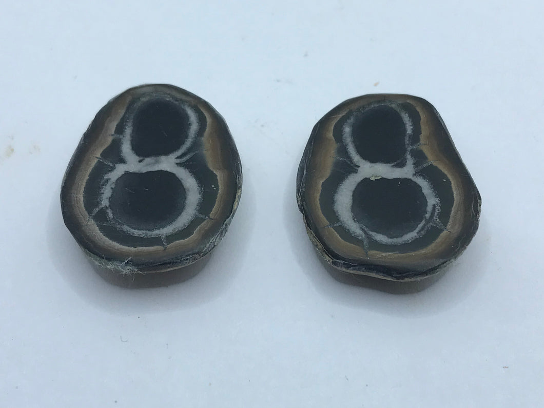 Septarian pair