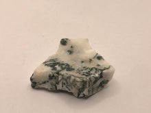 Load image into Gallery viewer, Tree agate
