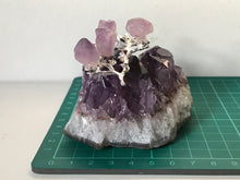 Load image into Gallery viewer, Amethyst Cluster With Branch
