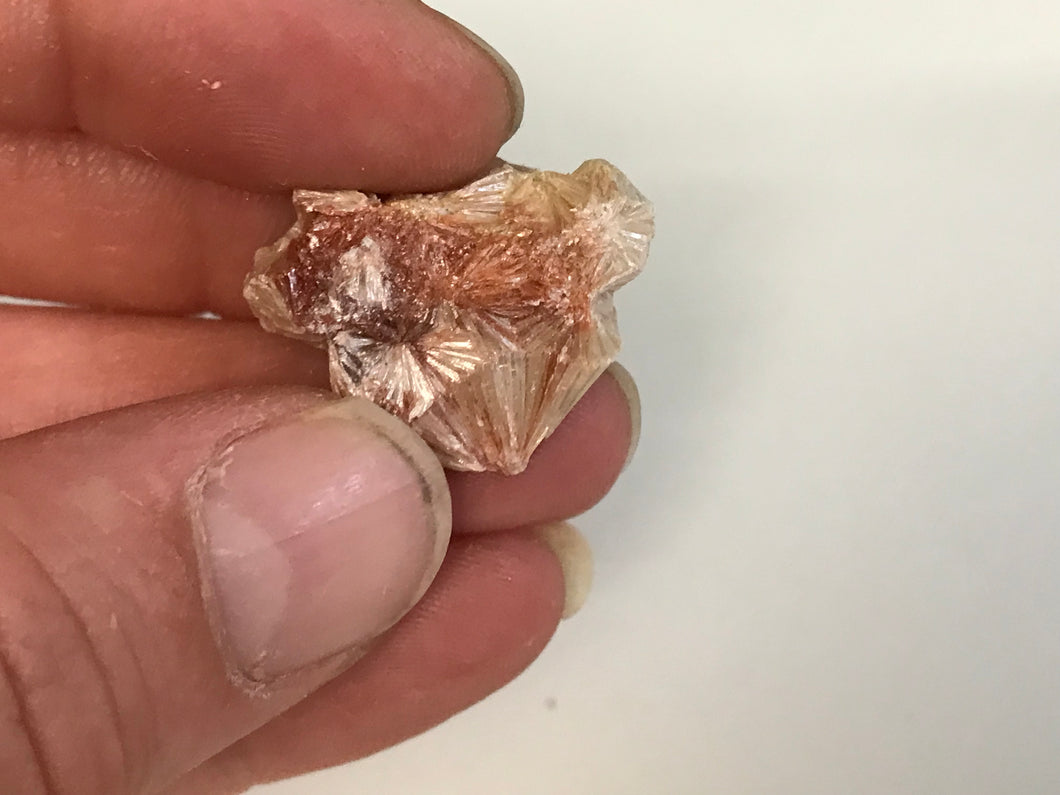 Pyrophyllite