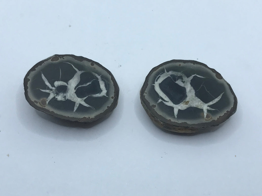 Septarian pair