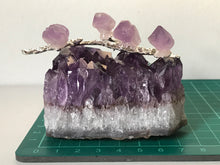 Load image into Gallery viewer, Amethyst Cluster With Branch
