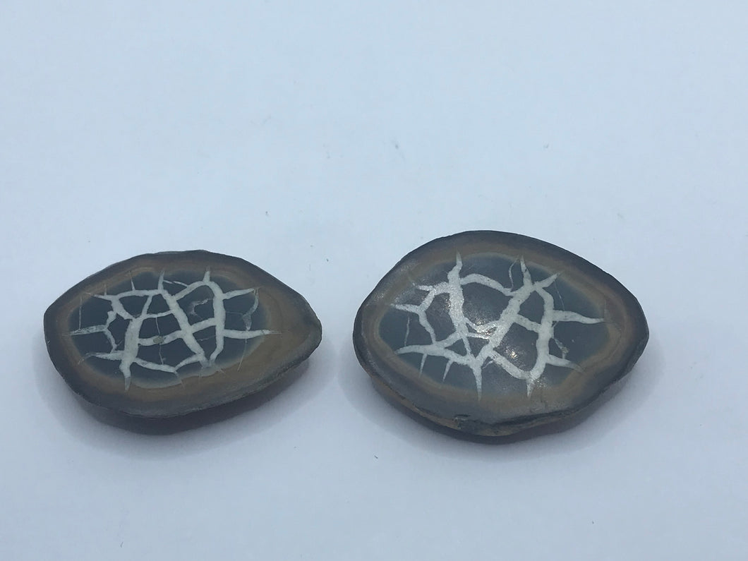 Septarian pair