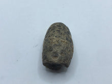 Load image into Gallery viewer, Horse Tail Seed Pod

